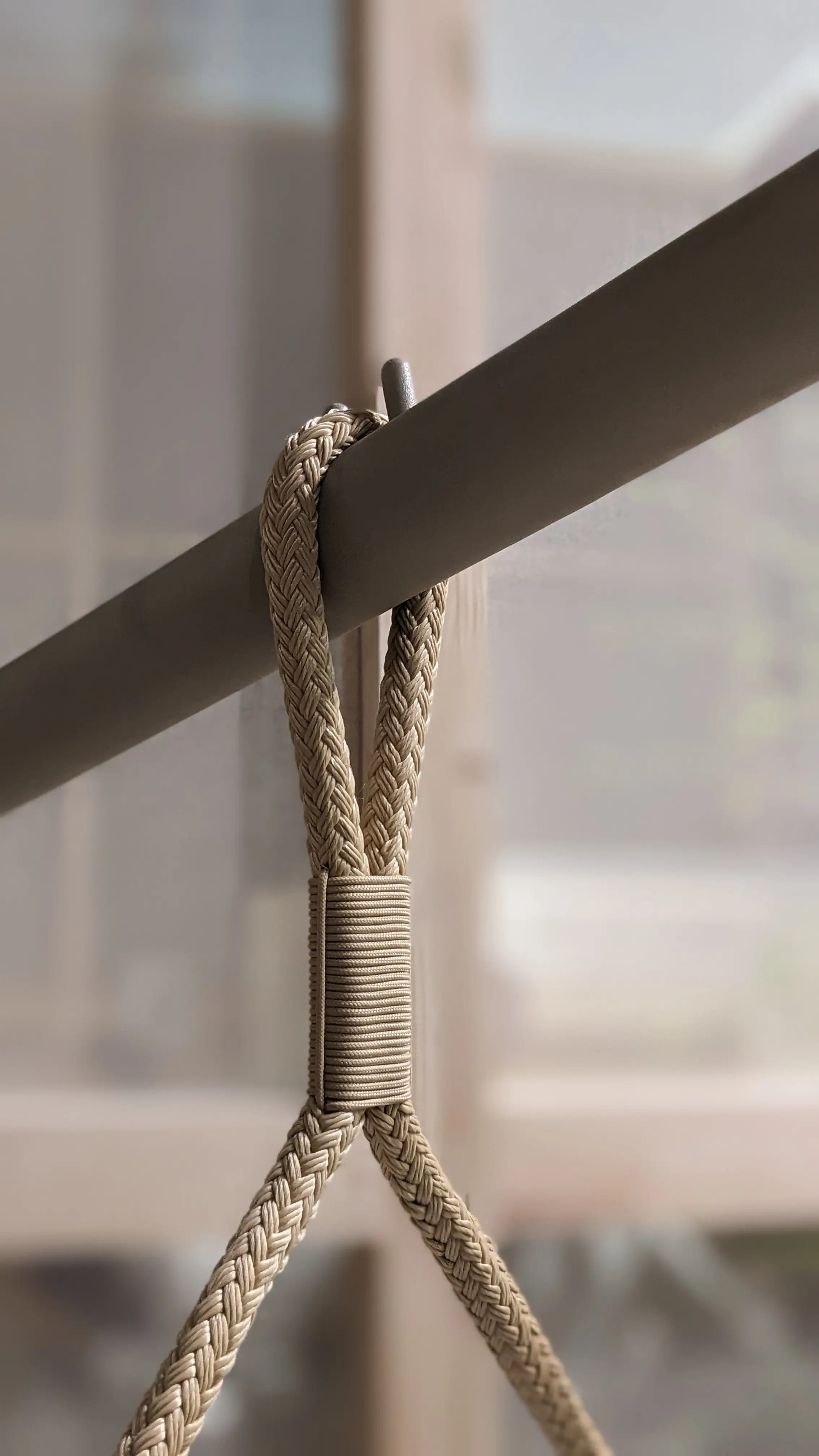Arena SWING