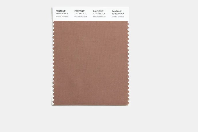 Mocha Mousse Pantone Swatch